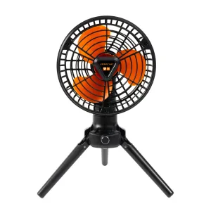 2 IN 1 FAN AND LIGHT