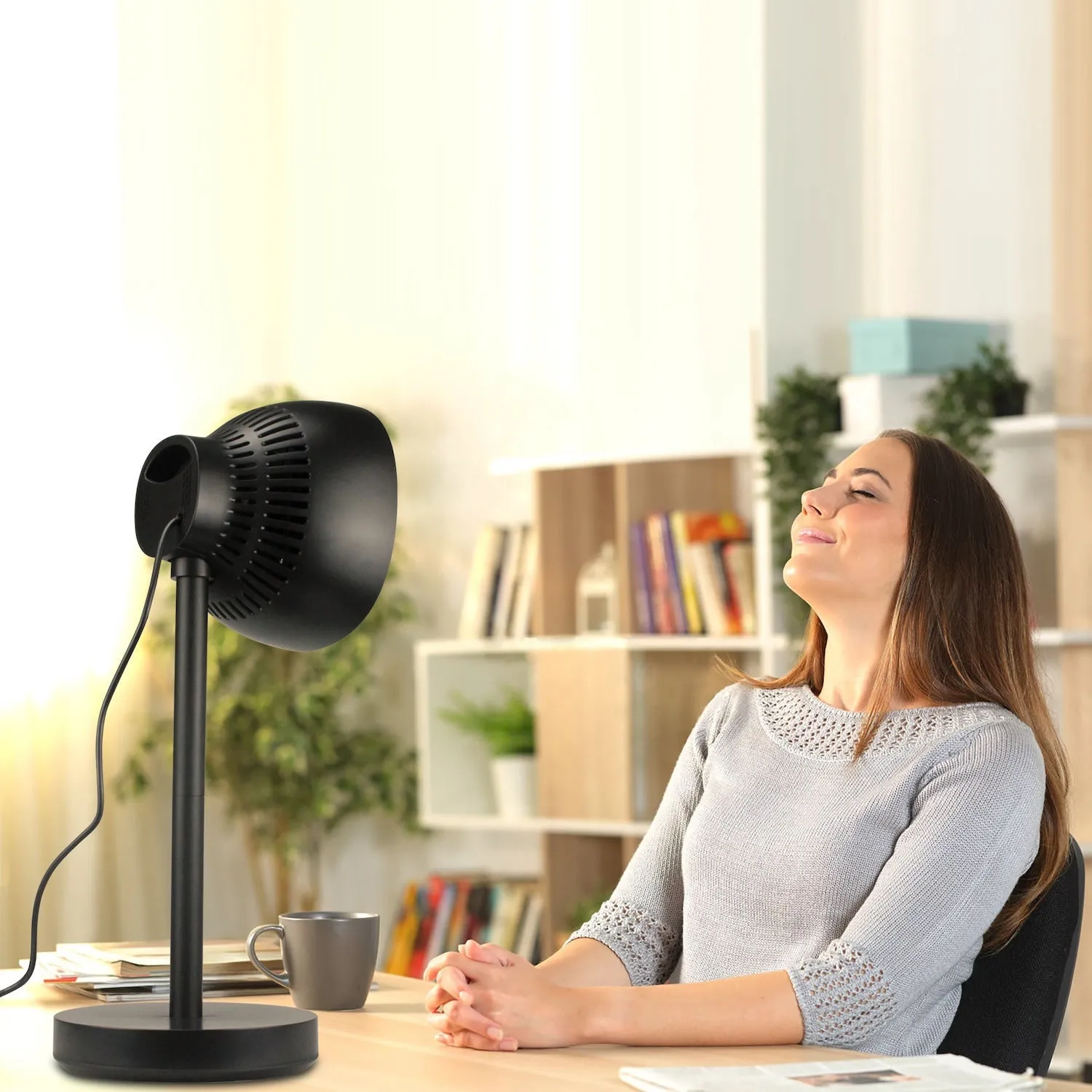 Desk & Floor Multifunctional Fan Heater