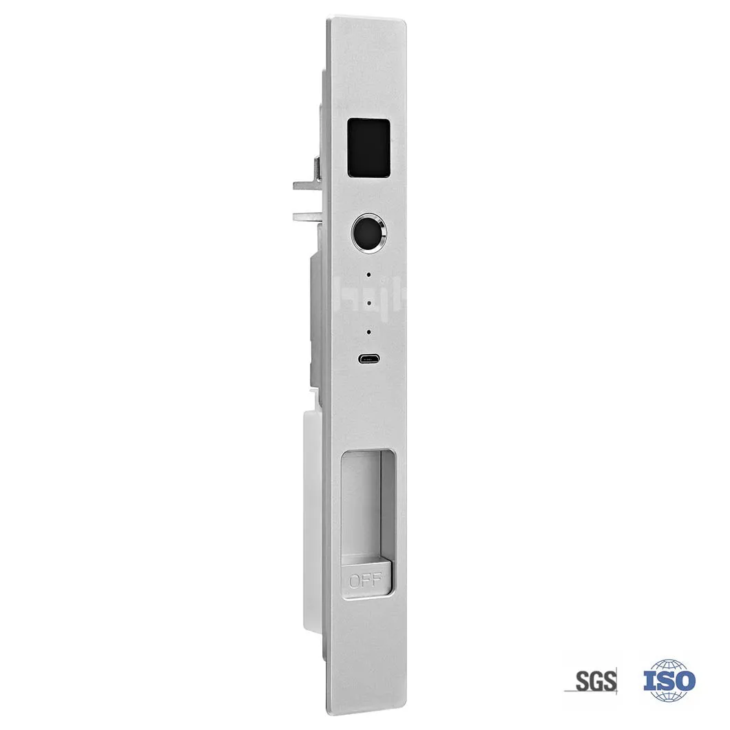 DH601 Ultra slim Smart Lock for Sliding door