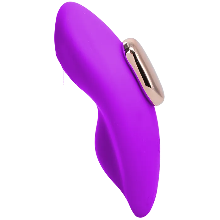 Magnetic Panty Vibe with Remote In a Bag