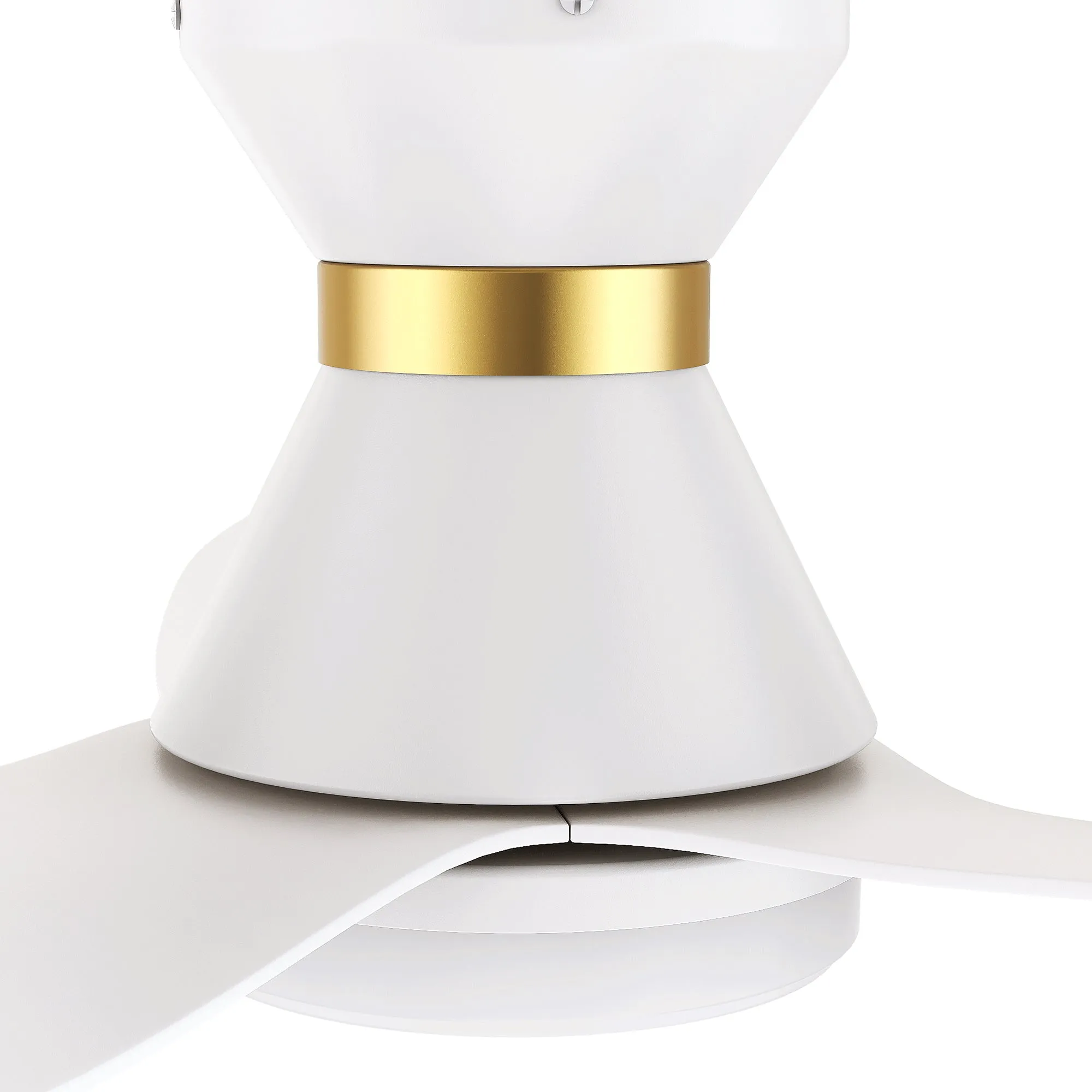 RYATT 45 inch 3-Blade Flush Mount Smart Ceiling Fan with LED Light Kit & Remote- White/White (Gold Detail)